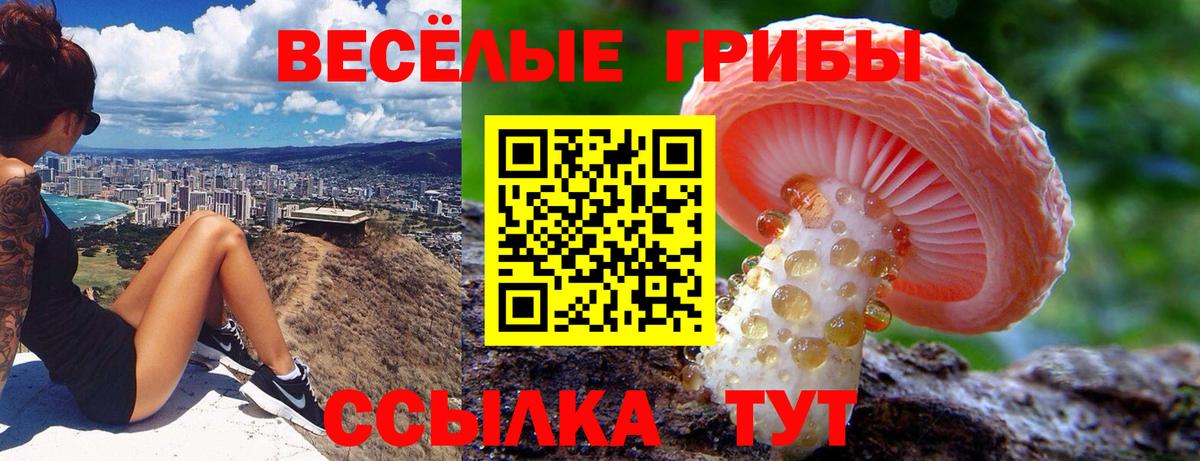 Псилоцибиновые грибы мухоморы  Галлюциногенные грибы Psilocybe  Вход с VPN  Салават 