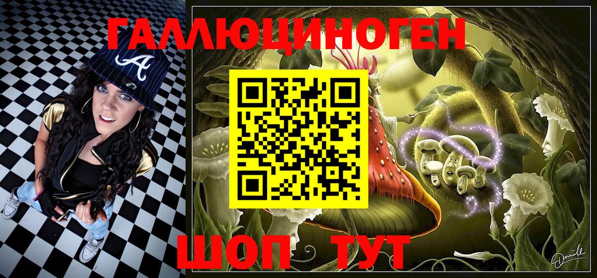 Псилоцибиновые грибы Psilocybine cubensis Салават